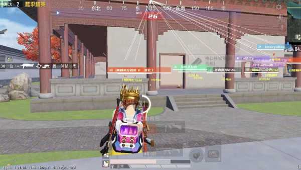 和平精英DDYS辅助